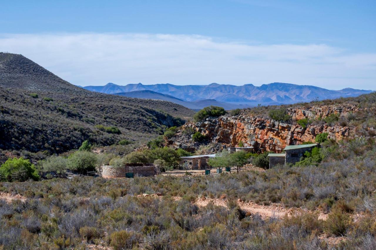Desert Wind Private Guest And Game Farm Montagu Exterior photo